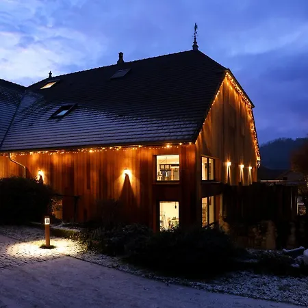 & La Scierie Bed & Breakfast Salins-les-Bains