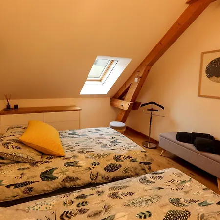 & La Scierie Bed & Breakfast Salins-les-Bains
